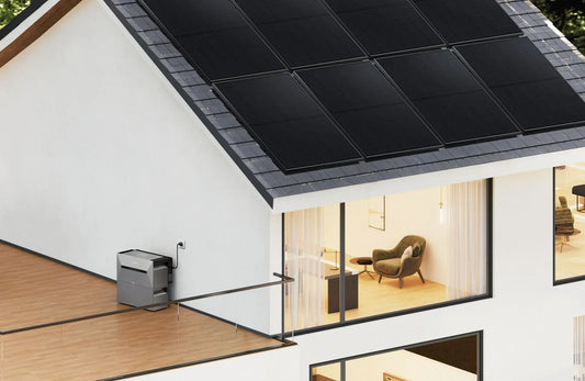 Nuestra plataforma solar ; La guía completa